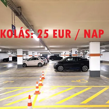 Erika's Downtown * ブダペスト